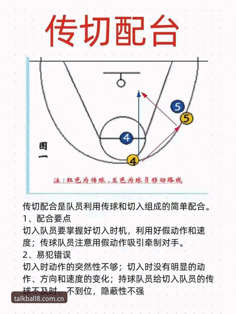 谈球吧体育平台 谈球吧体育平台完整使用指南:从新手到高手的全方位解析